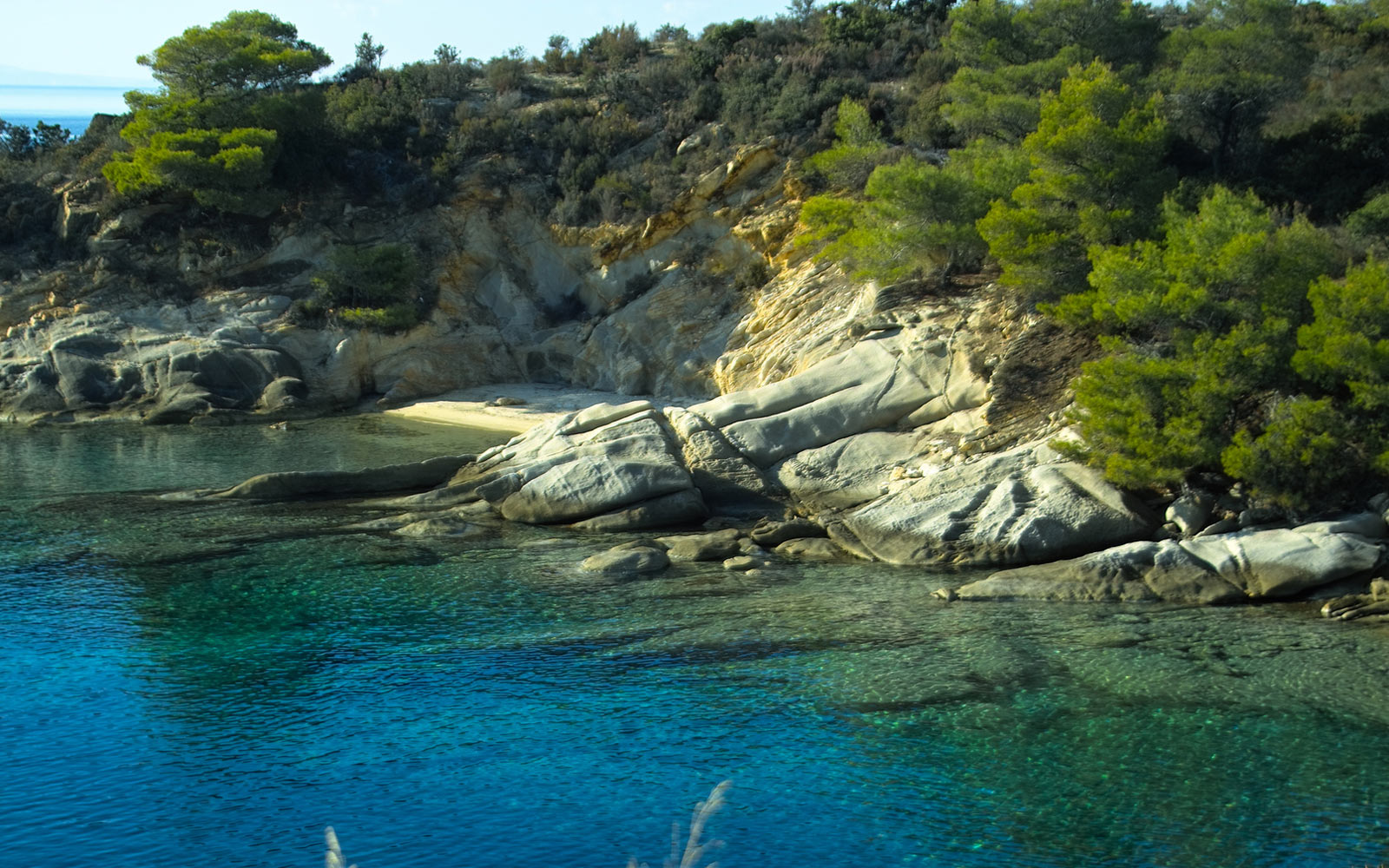 Εγγυημένα οι καλύτερες τιμές